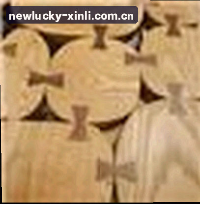 李阳